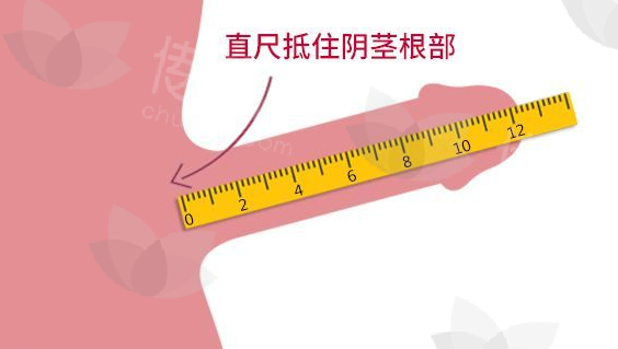 男性私密11.png